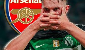 葡媒：约克雷斯就税后700万镑年薪与阿森纳达一致，将签5年
